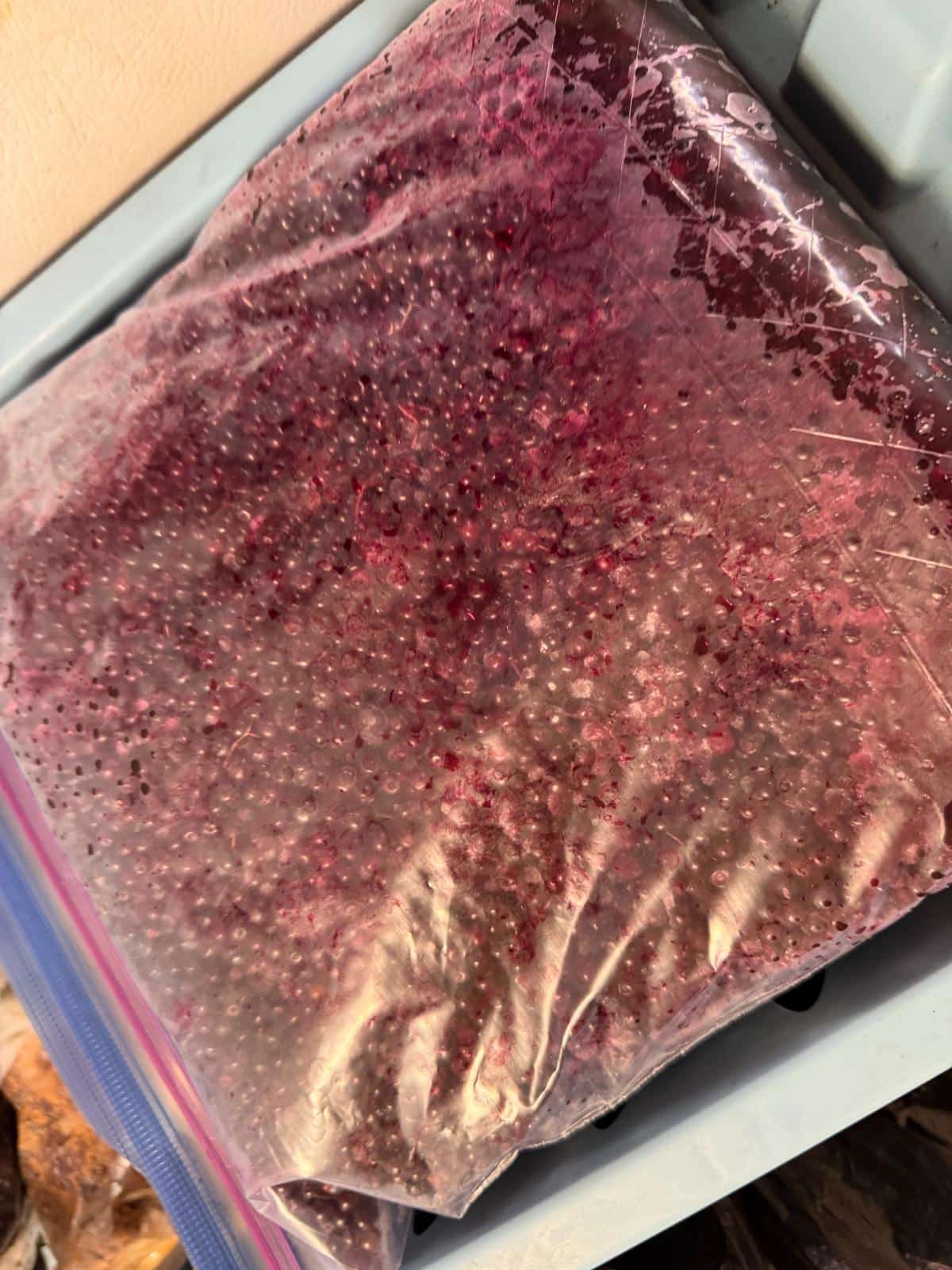 Frozen elderberries