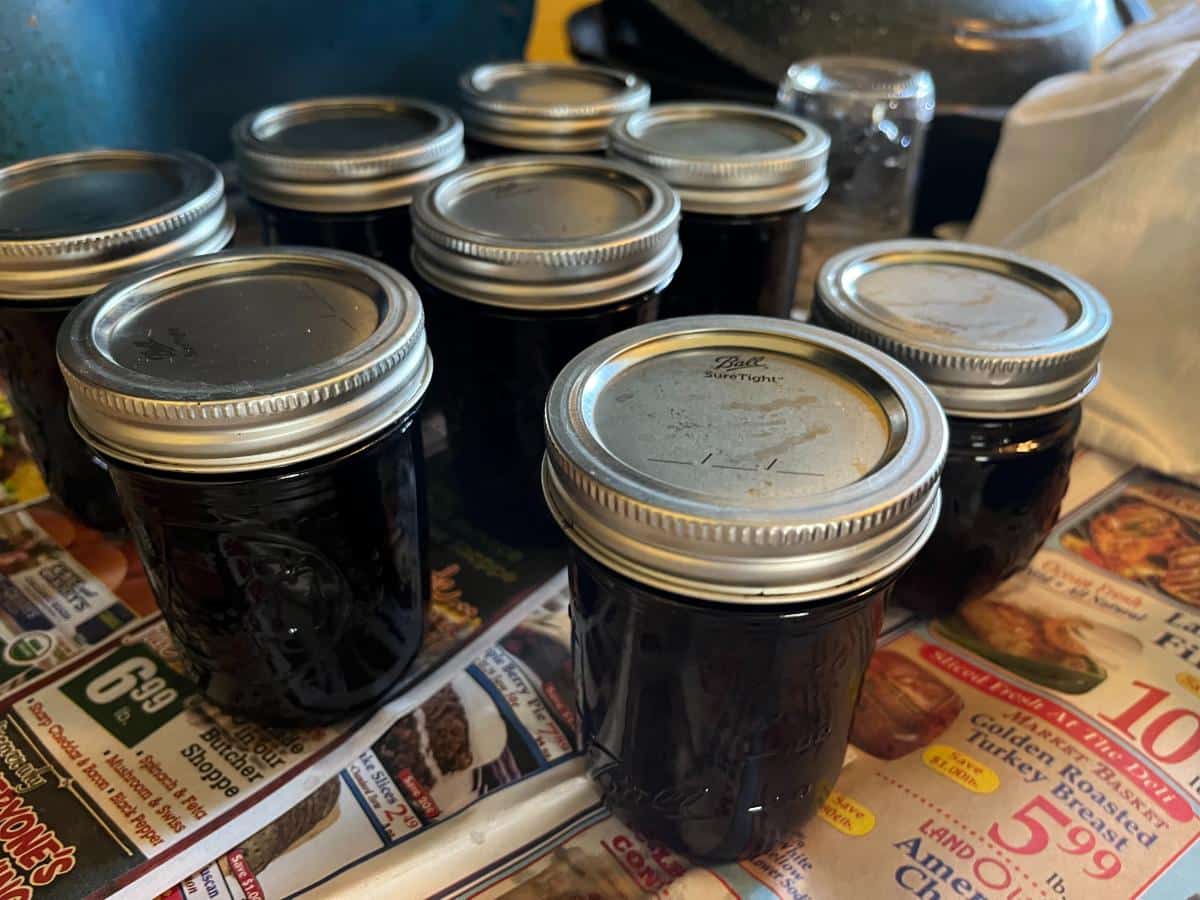 Jelly made from frozen fruit