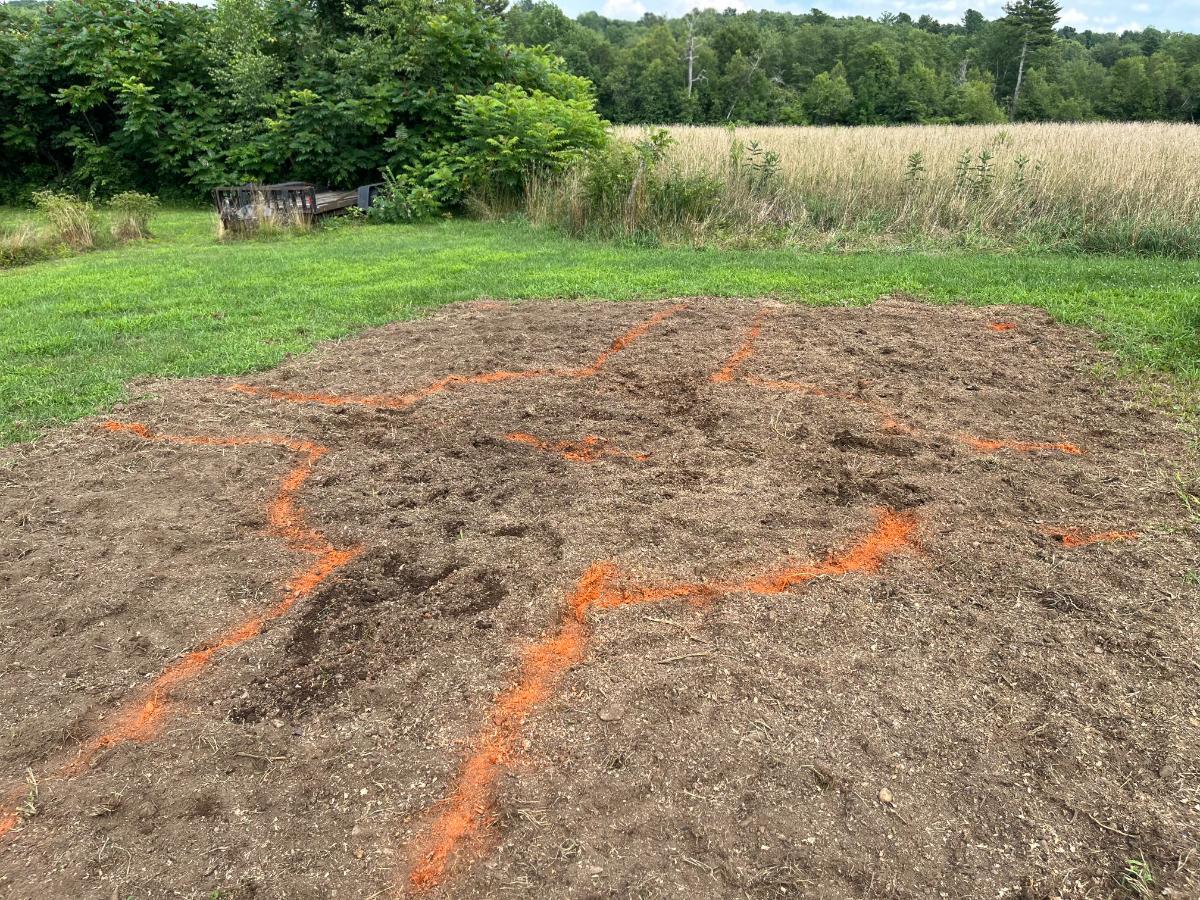 Marked area for a sunflower fort