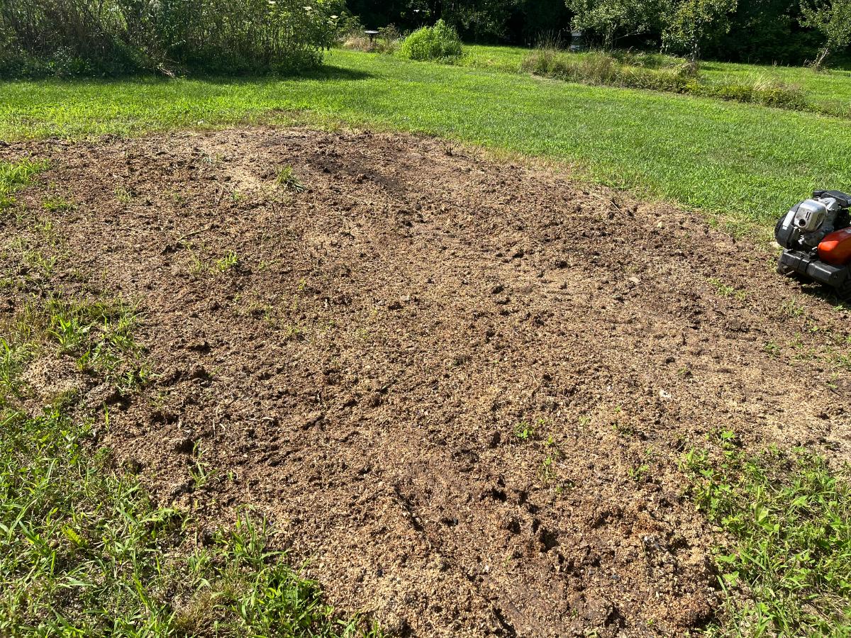 Flat ground for a sunflower playhouse