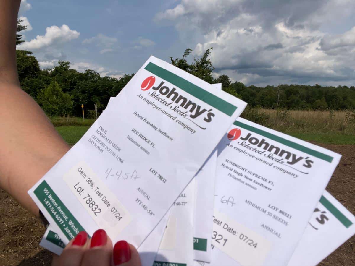 Packets for sunflower seeds for a sunflower playhouse