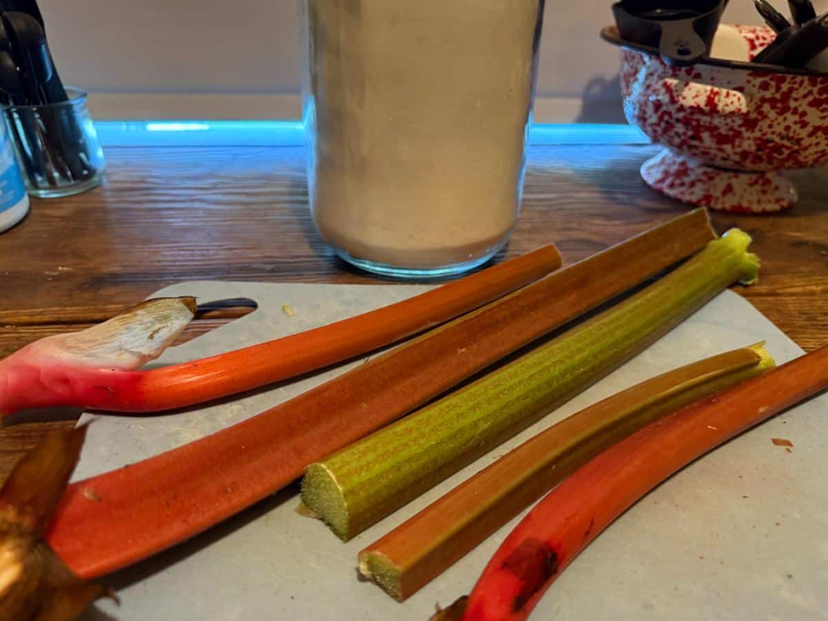 Fresh rhubarb stalks