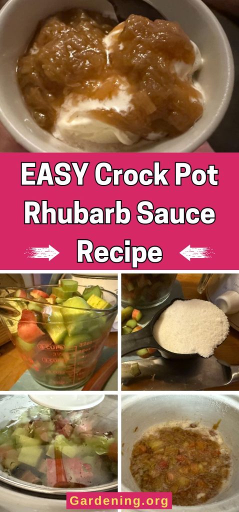 EASY Crock Pot Rhubarb Sauce Recipe pinterest image
