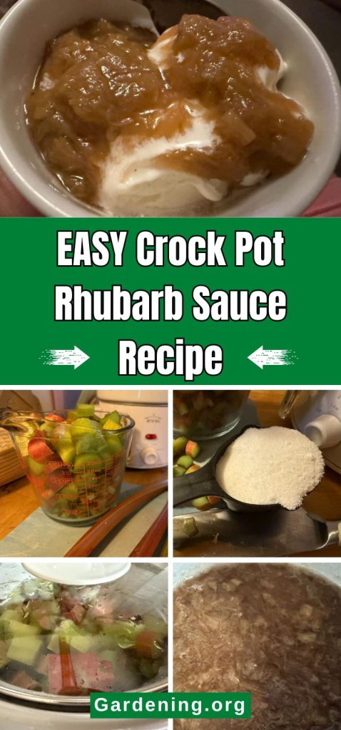 EASY Crock Pot Rhubarb Sauce Recipe pinterest image