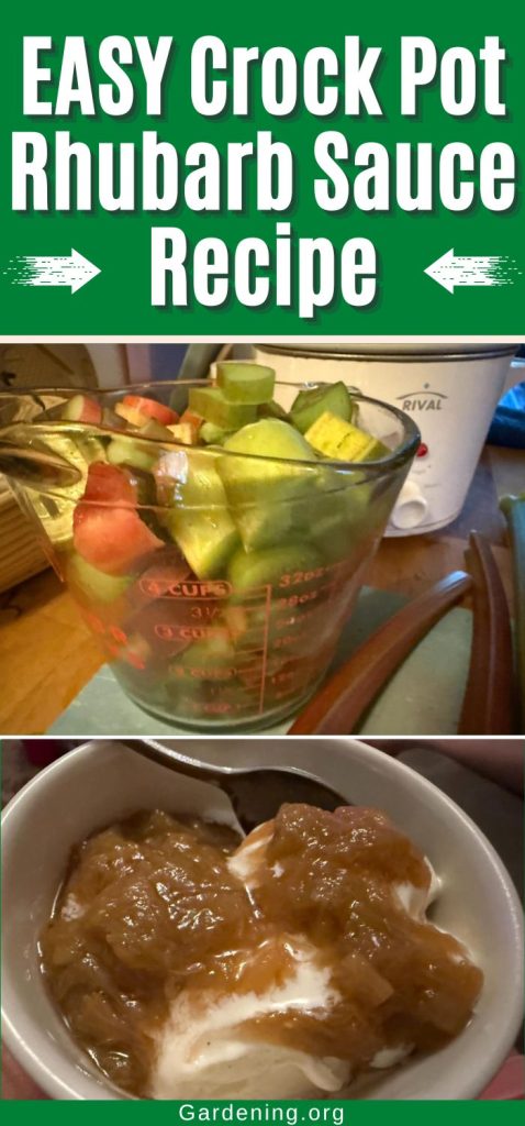EASY Crock Pot Rhubarb Sauce Recipe pinterest image
