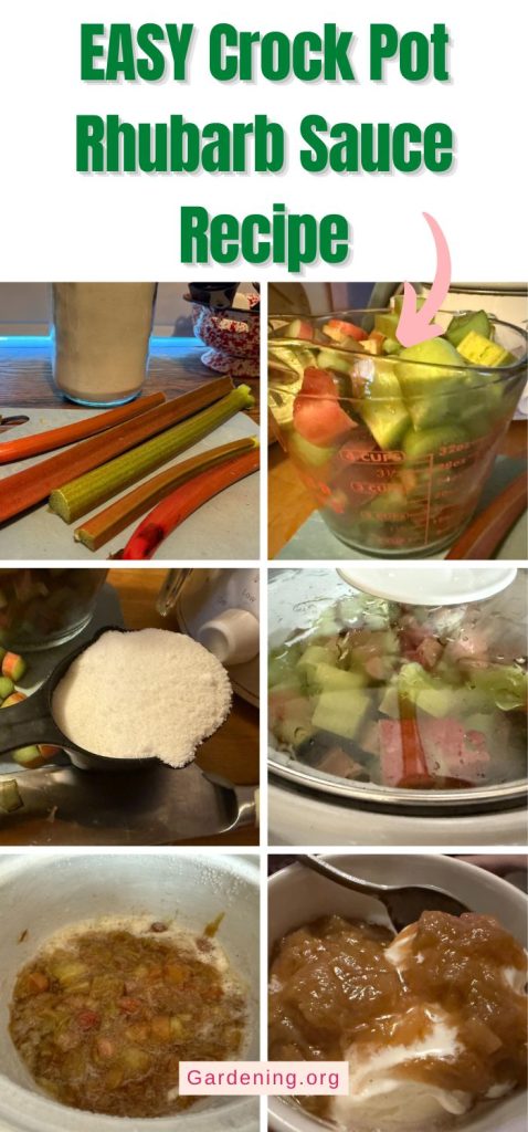 EASY Crock Pot Rhubarb Sauce Recipe pinterest image