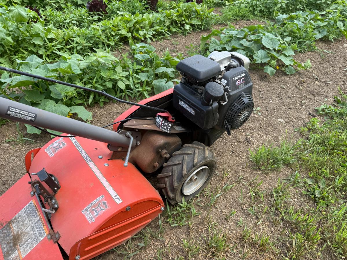 Tilling compacted garden soil for moisture absorption