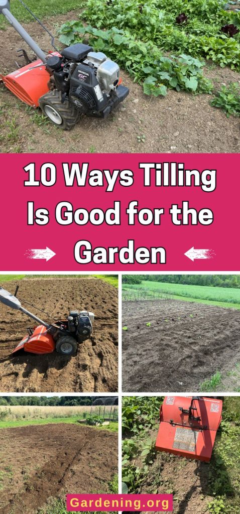 10 Ways Tilling Is Good for the Garden pinterest image