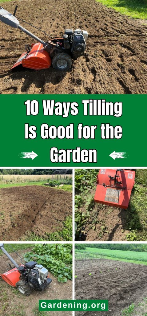 10 Ways Tilling Is Good for the Garden pinterest image