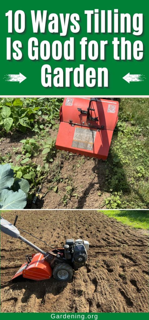 10 Ways Tilling Is Good for the Garden pinterest image