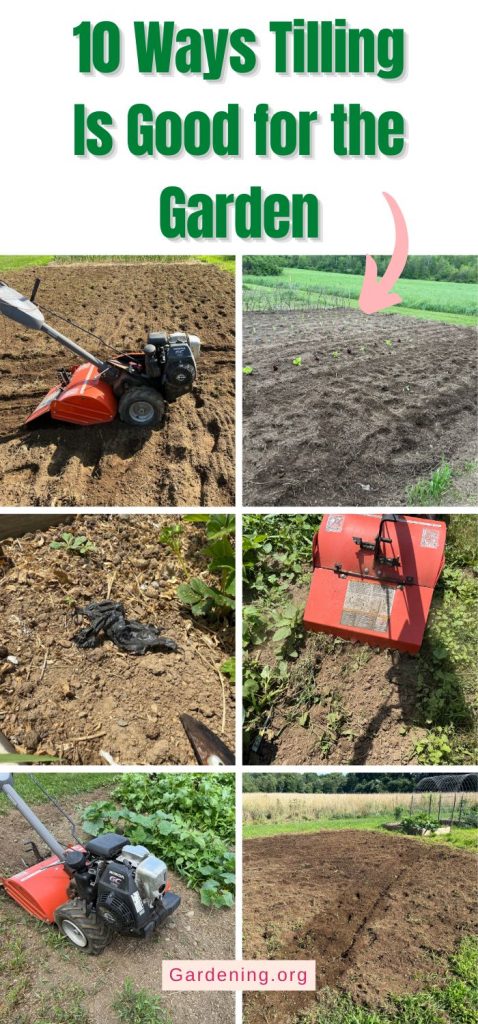 10 Ways Tilling Is Good for the Garden pinterest image