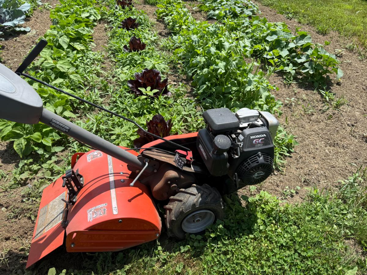 Rototiller for Tilling garden weeds