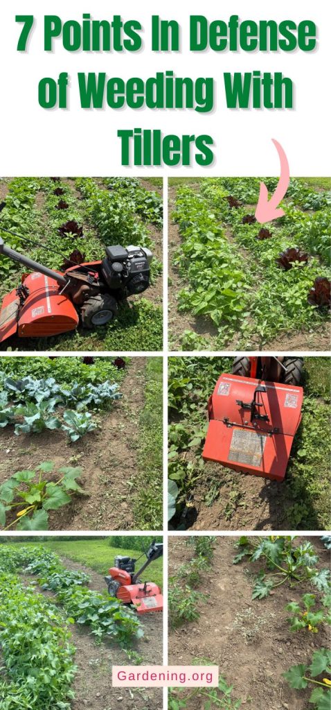 7 Points In Defense of Weeding With Tillers pinterest image
