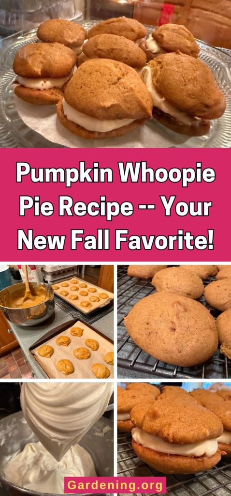 Pumpkin Whoopie Pie Recipe -- Your New Fall Favorite! pinterest image