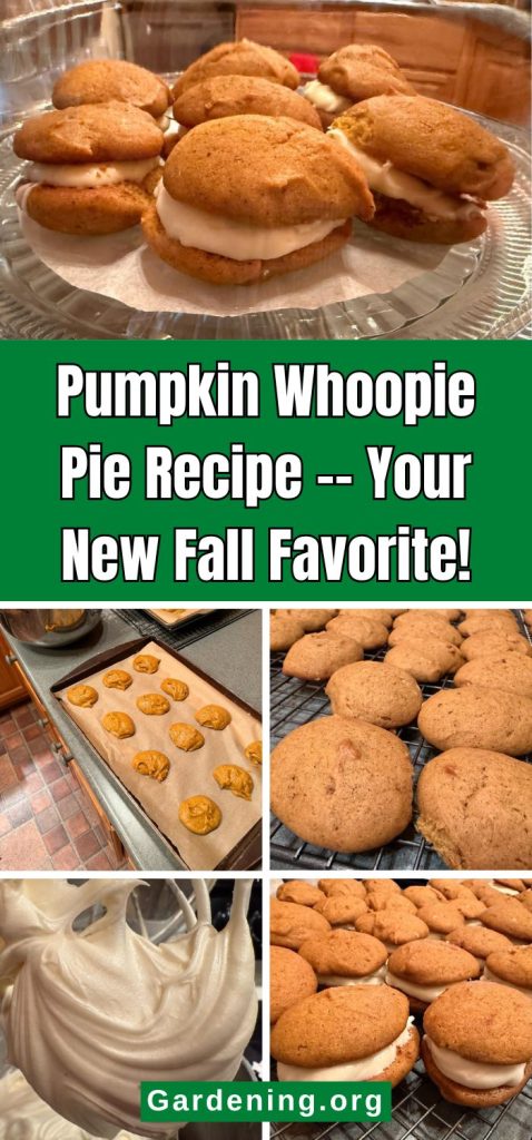 Pumpkin Whoopie Pie Recipe -- Your New Fall Favorite! pinterest image