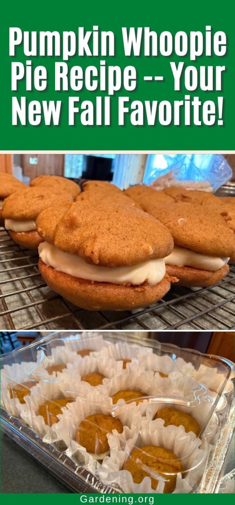 Pumpkin Whoopie Pie Recipe -- Your New Fall Favorite! pinterest image