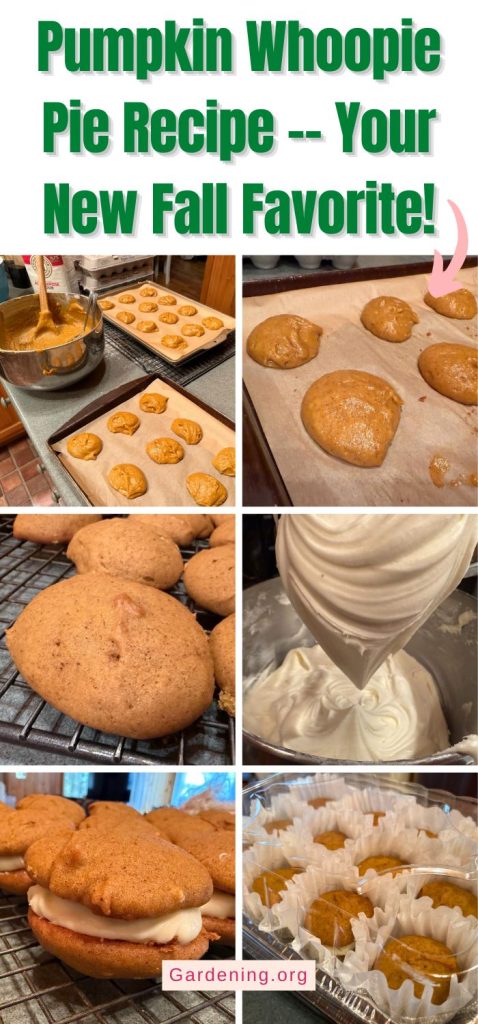 Pumpkin Whoopie Pie Recipe -- Your New Fall Favorite! pinterest image