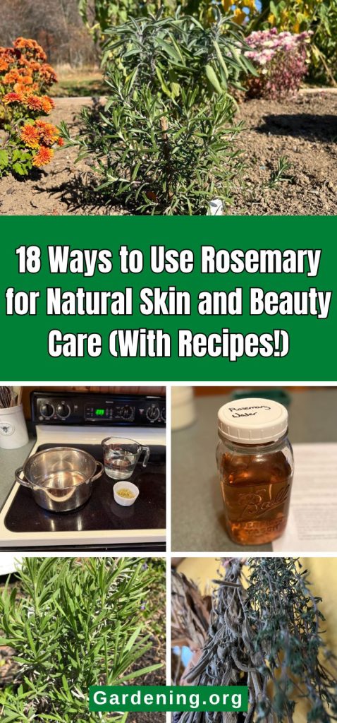 18 Ways to Use Rosemary for Natural Skin and Beauty Care (With Recipes!) pinterest image