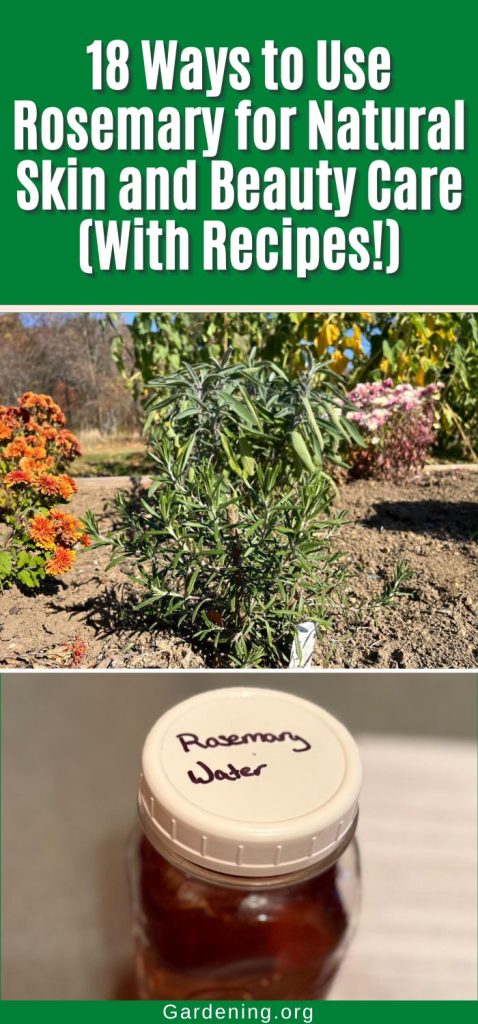 18 Ways to Use Rosemary for Natural Skin and Beauty Care (With Recipes!) pinterest image