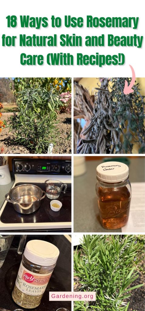 18 Ways to Use Rosemary for Natural Skin and Beauty Care (With Recipes!) pinterest image