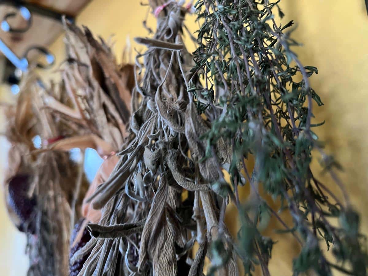 Dried herb bundles on a pasta drying rack
