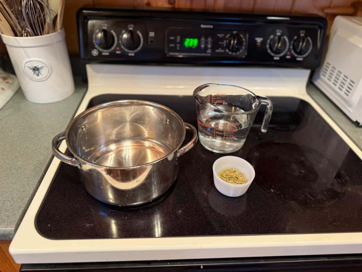 Making rosemary water on a stovetop